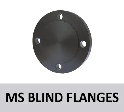 MS Blind Flanges