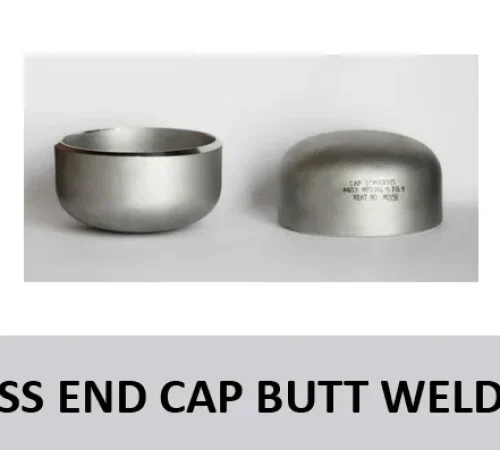 SS Buttweld End Cap