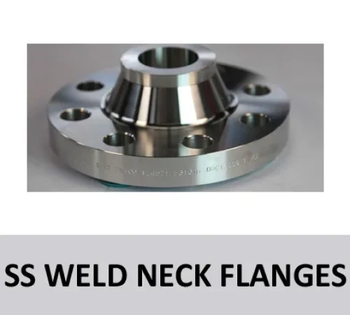 SS Weld-Neck Flanges